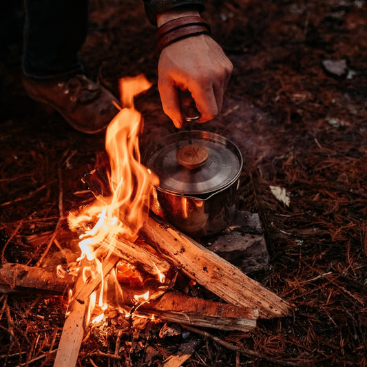 Camping Stove Essentials: Choosing the Right Model for Your Outdoor Adventure - The Cavemanstyle